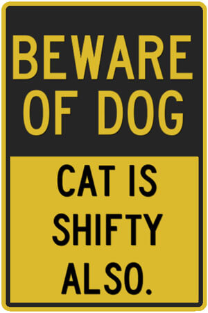 Sign - Beware of dog | Cat is shifty also.