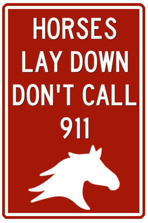 Sign - Horses lay down don't call 911